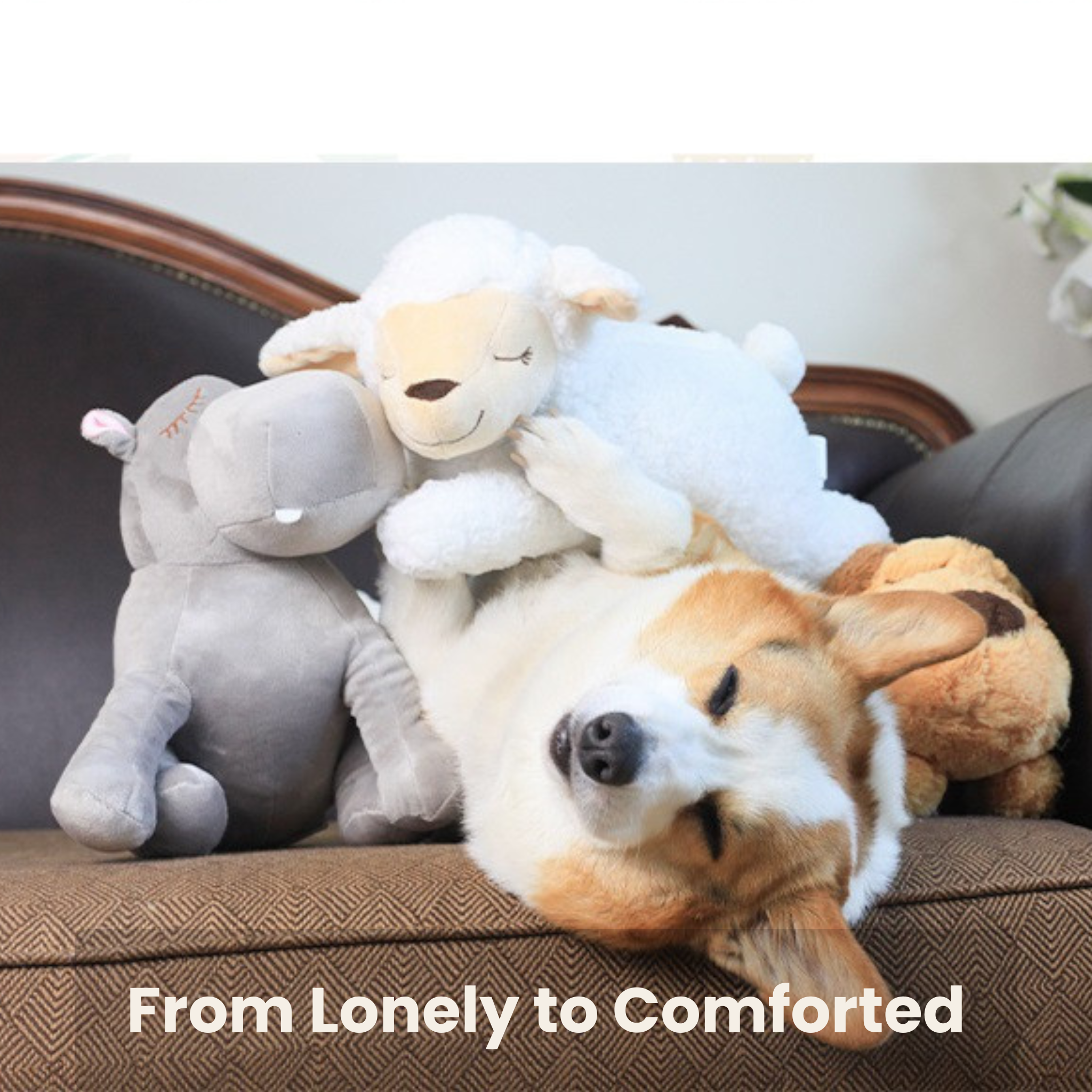 NuviaPup™ Sleep & Comfort Routine – Calming Bed & Heartbeat Toy Bundle for Dogs