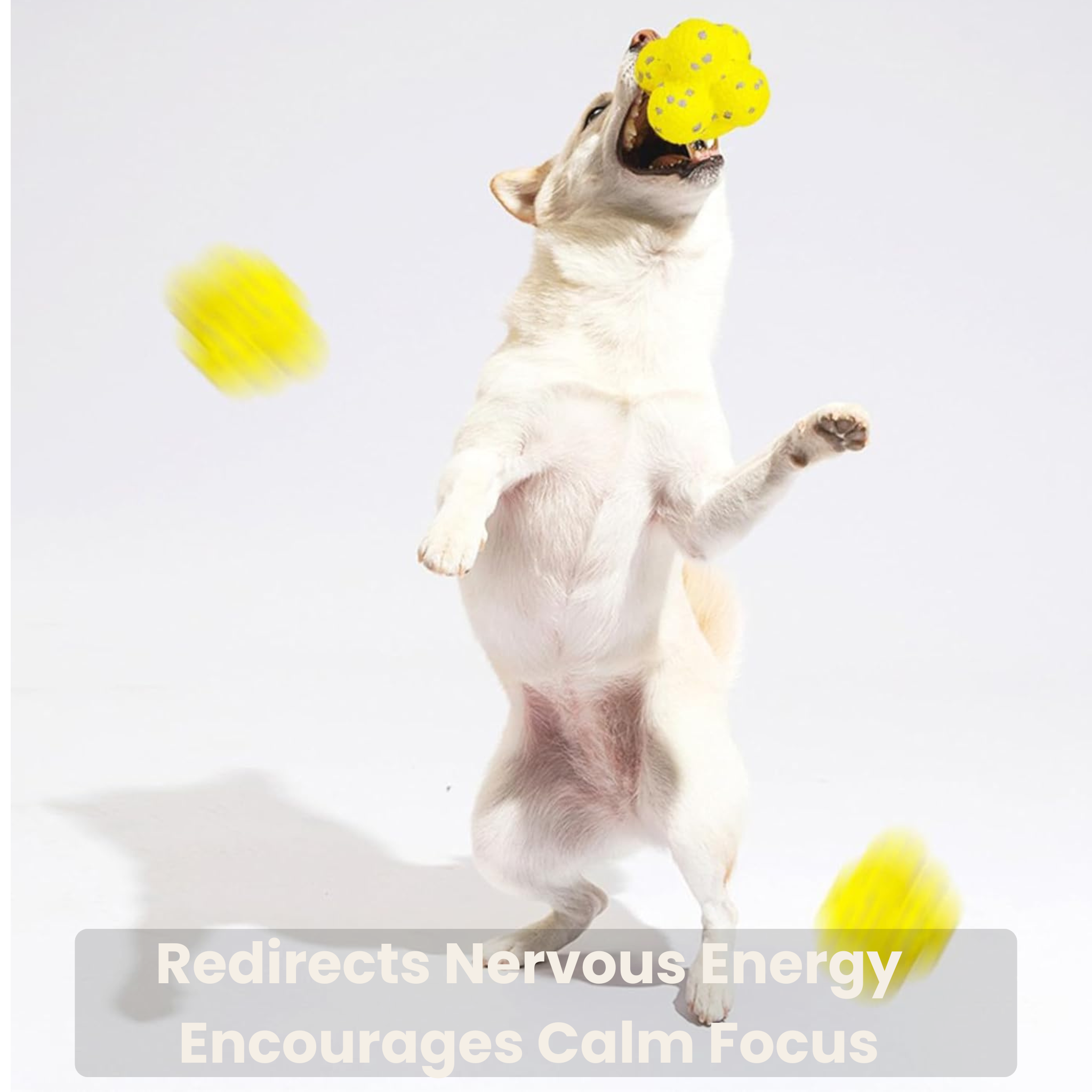 NuviaPup™ Calming Ball – Emotional Support Tennis Ball for Anxious Dogs