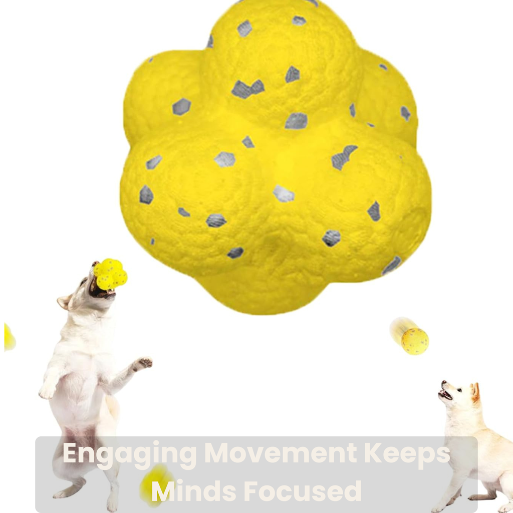 NuviaPup Calm & Engage Routine