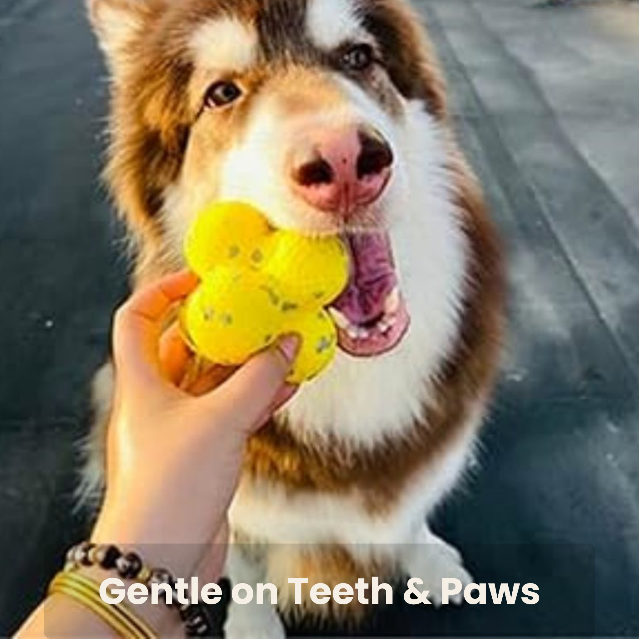 NuviaPup™ Calming Ball – Emotional Support Tennis Ball for Anxious Dogs