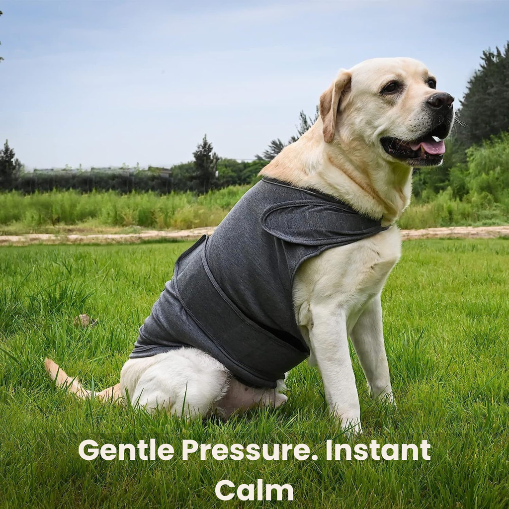 NuviaPup™ Calm Starter Routine – Anxiety Relief & Comfort Toy Bundle for Dogs