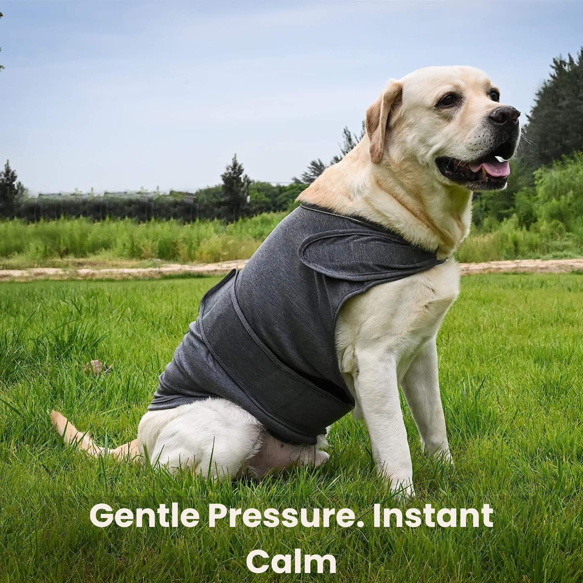 NuviaPup™ Calm Starter Routine – Anxiety Relief & Comfort Toy Bundle for Dogs