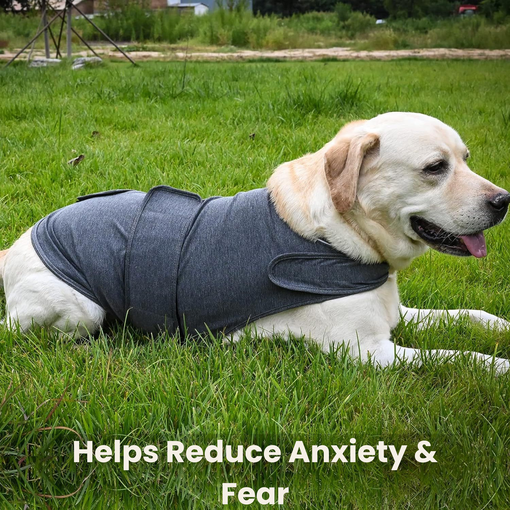 NuviaPup™ Calm Starter Routine – Anxiety Relief & Comfort Toy Bundle for Dogs