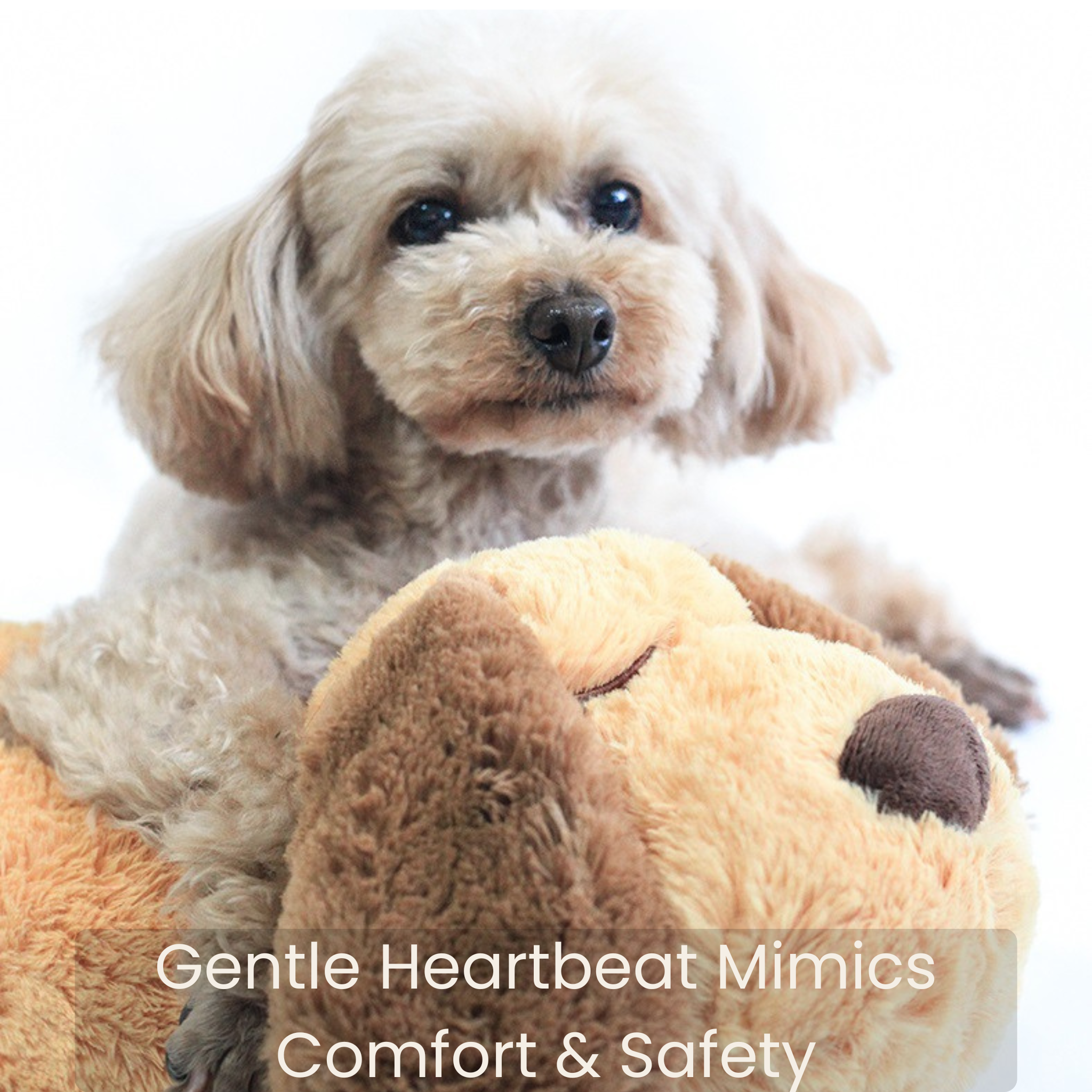NuviaPup™ Heartbeat Comfort Plush – Calming Companion for Dogs